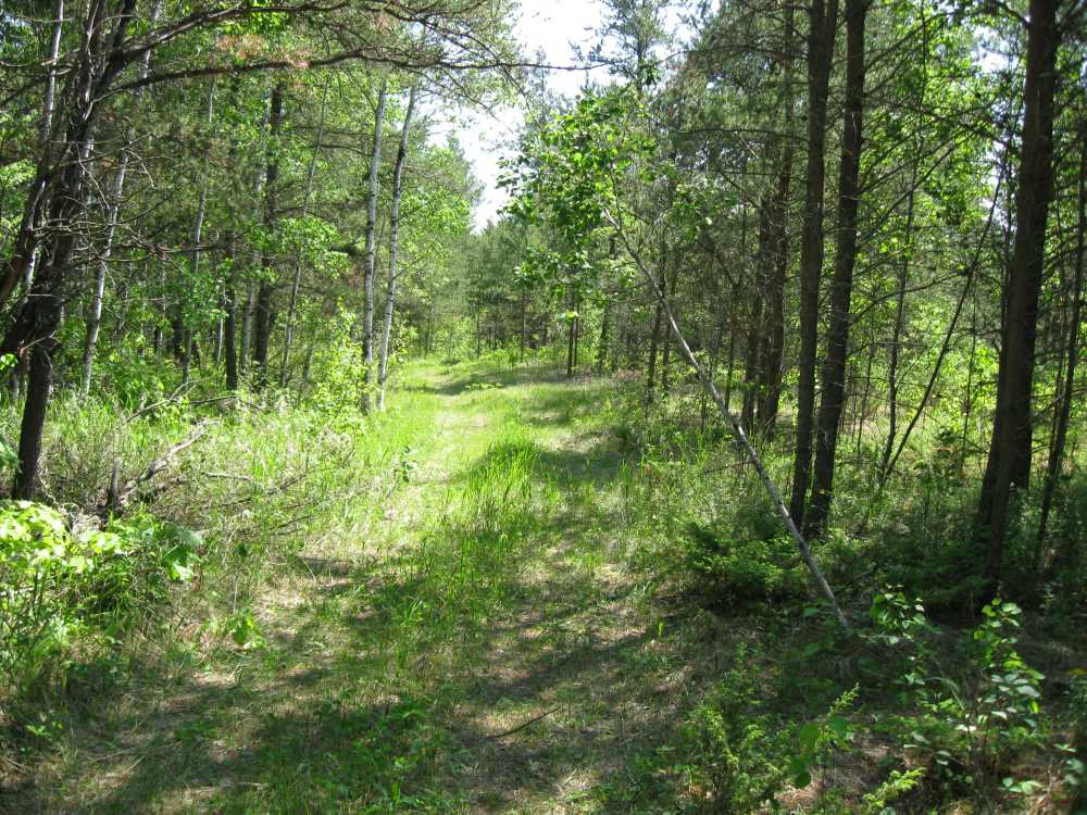 Naturist Legacy History: Gallery 01/06...The new land before purchase