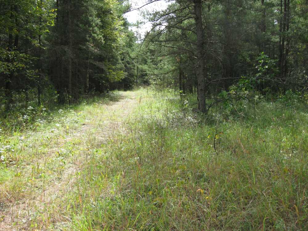 Naturist Legacy History: Gallery 01/18...The new land before purchase