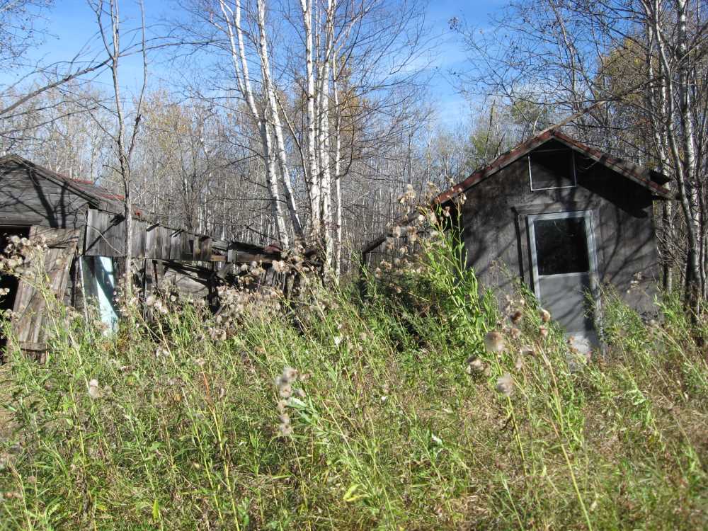 Naturist Legacy History: Gallery 02/26...Clearing roads and land