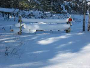 Naturist Legacy History: Gallery 05/10...The new land under December snow