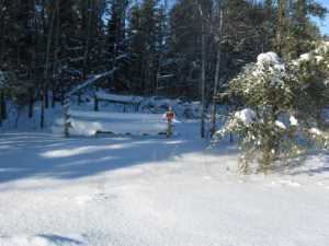Naturist Legacy History: Gallery 05/12...The new land under December snow