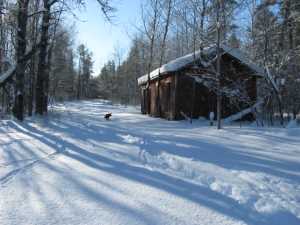 Naturist Legacy History: Gallery 05/15...The new land under December snow
