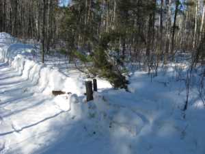 Naturist Legacy History: Gallery 06/14...Hydro tries winter pole installation