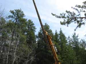 Naturist Legacy History: Gallery 08/28...Hydro installs power line poles