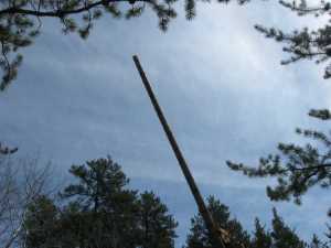 Naturist Legacy History: Gallery 08/29...Hydro installs power line poles