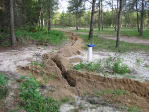Naturist Legacy History: Gallery 13/24...Trenching in the new phone line