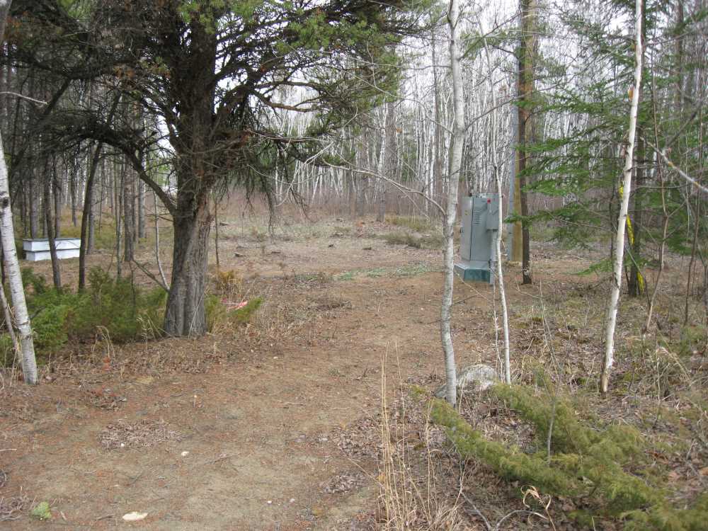 Naturist Legacy History: Gallery 23/13...An early resumption of construction