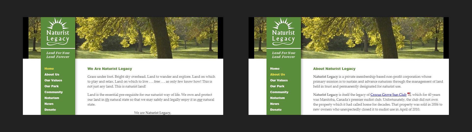 Home page and About Us page ... 2011