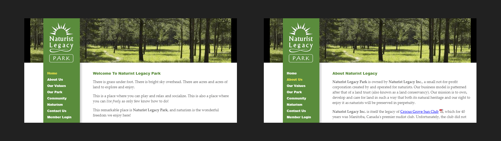 Home page and About Us page ... 2012