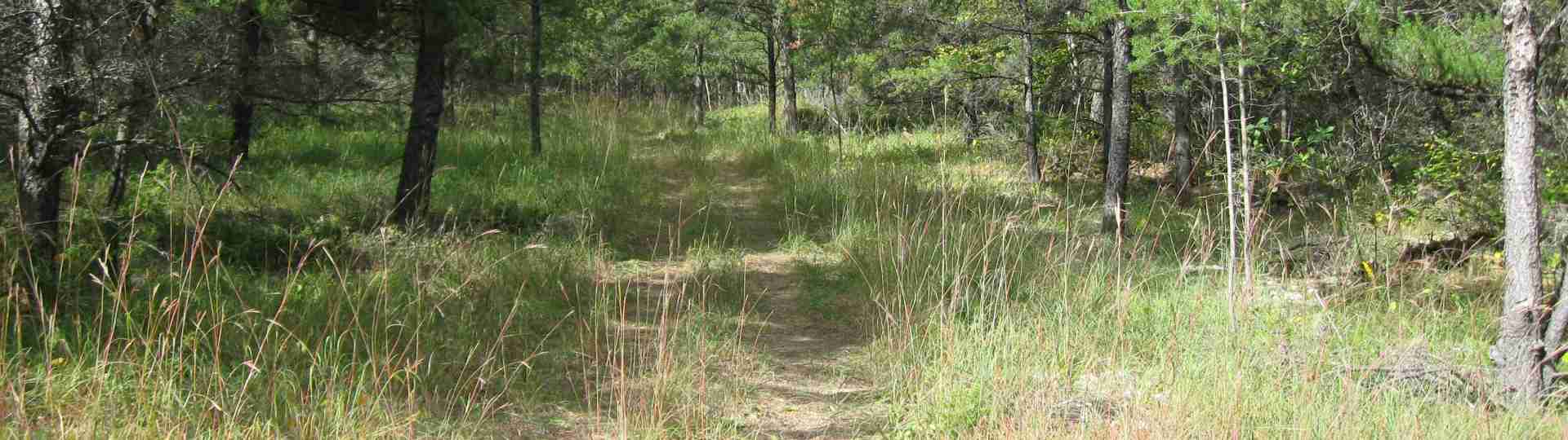 The new land before purchase ... 2010