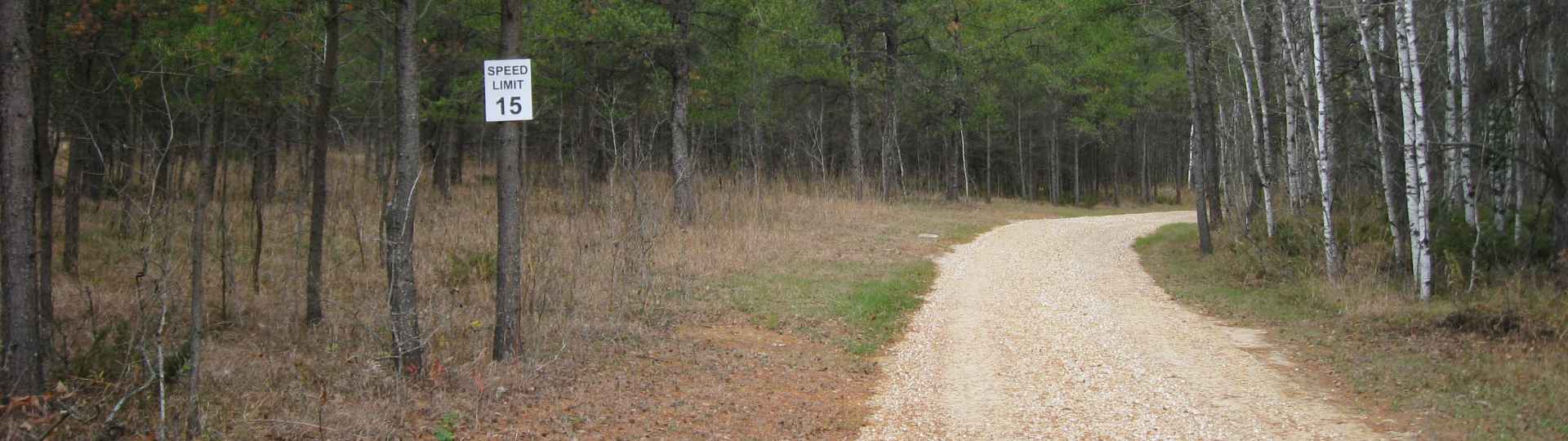 Naturist Legacy Park roadway ... 2012