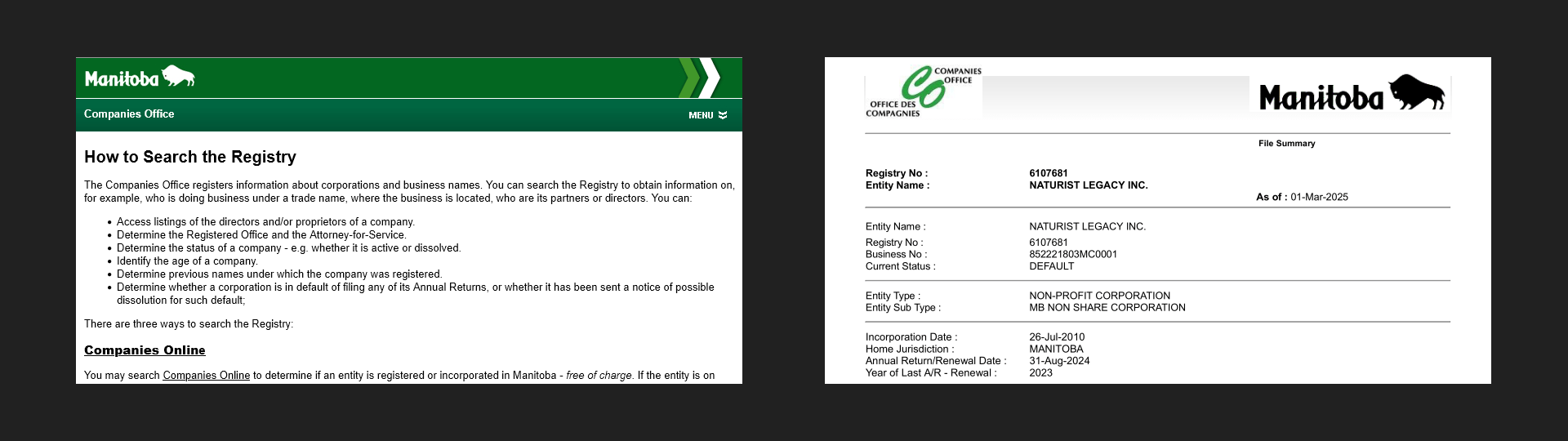 Companies Office, File Summary
