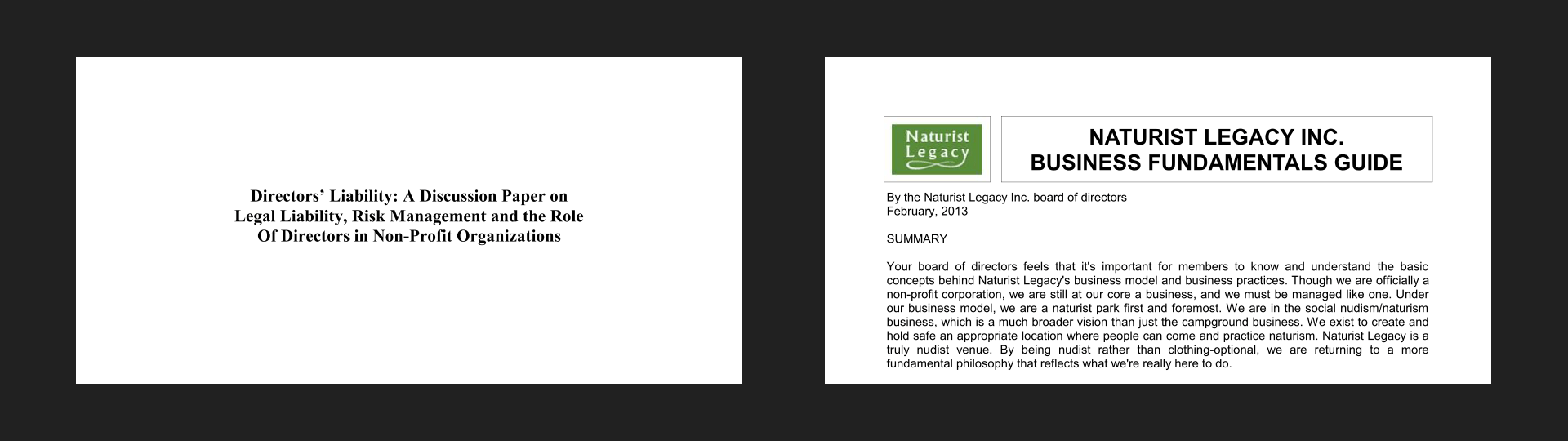 Directors' Liability, Business Fundamentals Guide