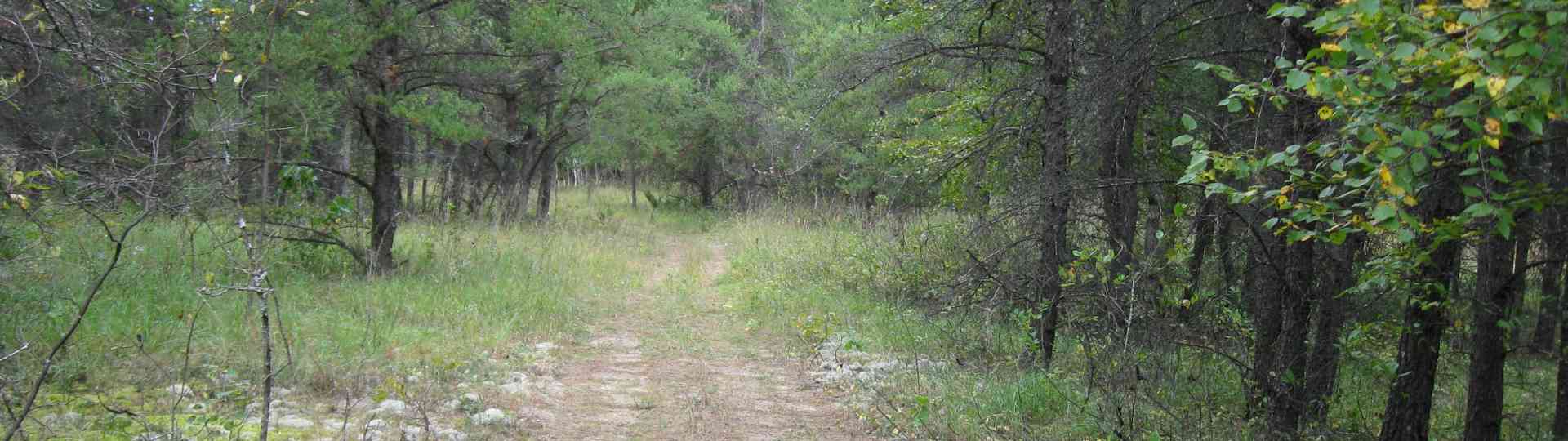 The new land before purchase ... 2010