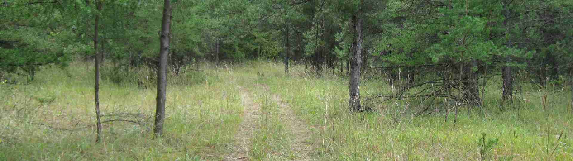 The new land before purchase ... 2010