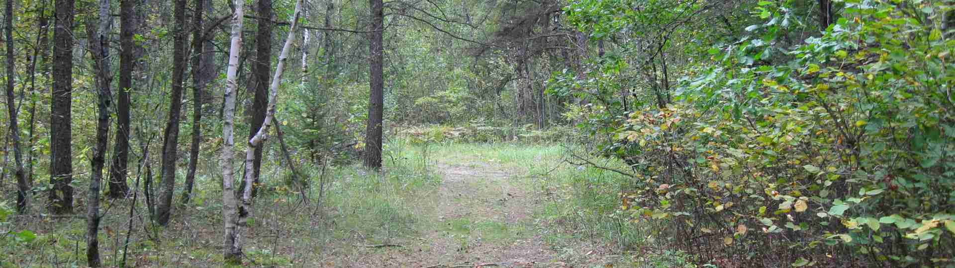 The new land before purchase ... 2010