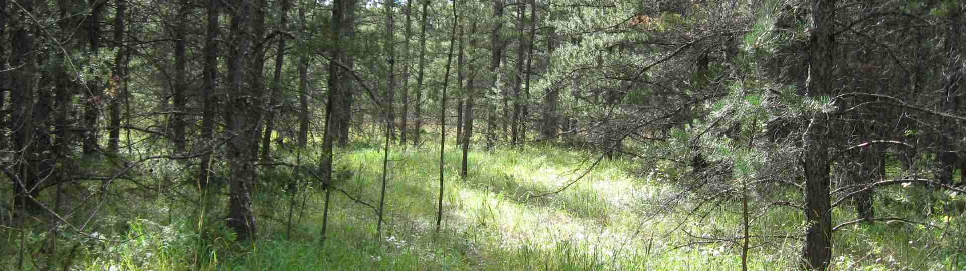 The new land before purchase ... 2010