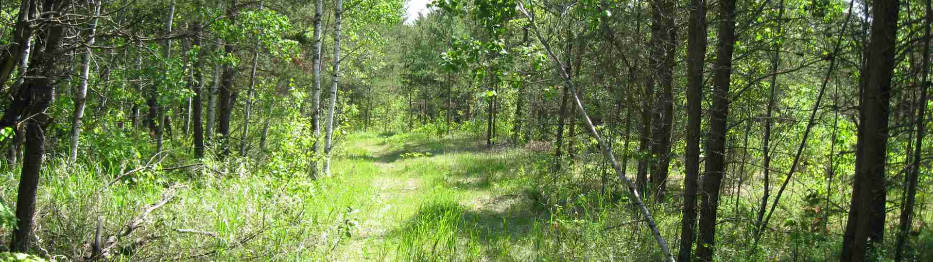 The new land before purchase ... 2010
