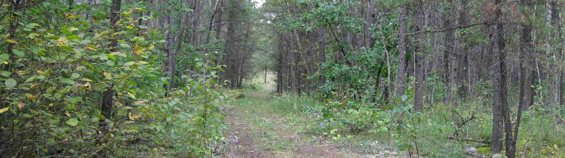 The new land before purchase ... 2010