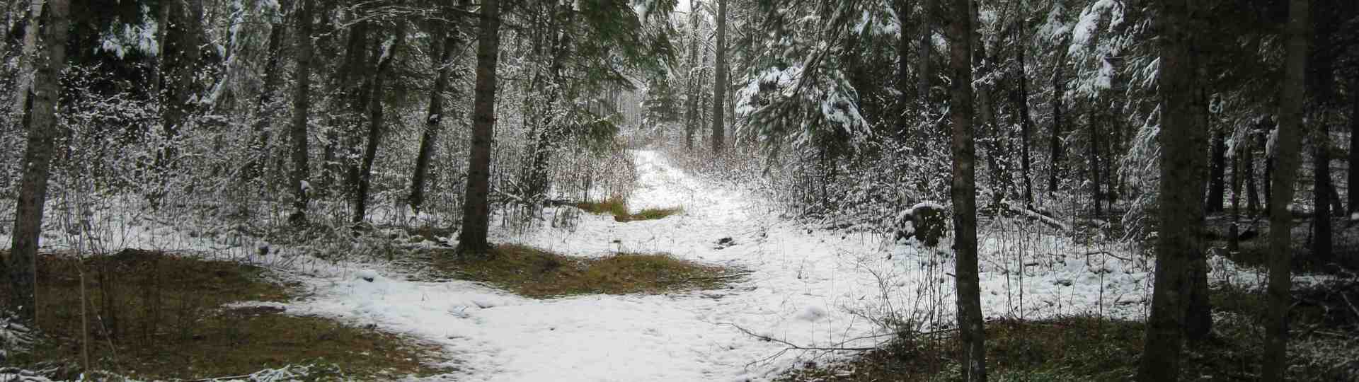 The new land in late fall ... 2010