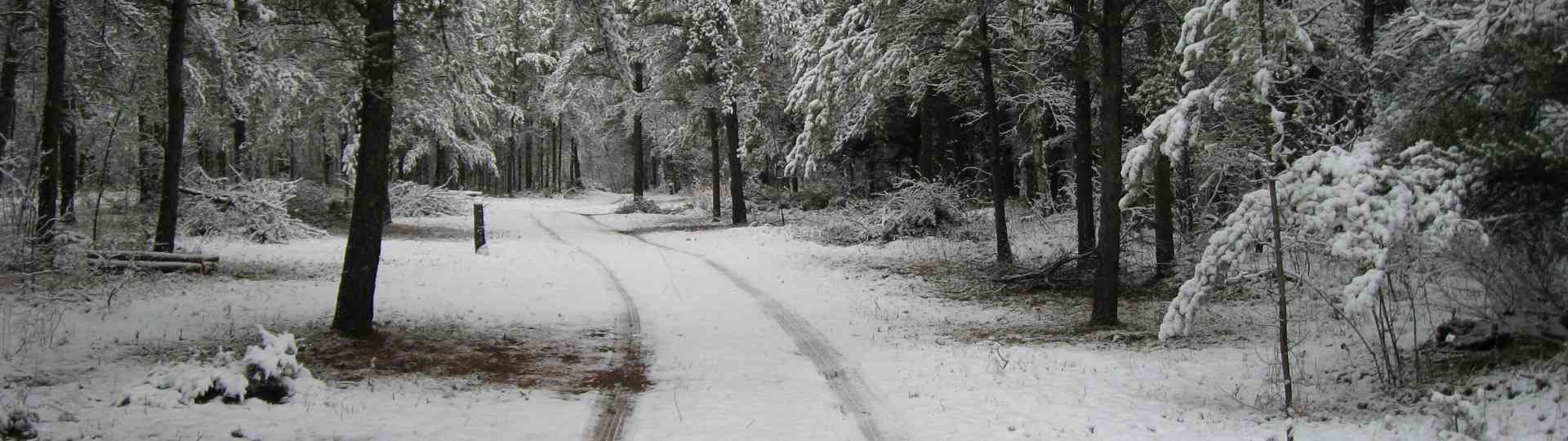 The new land in late fall ... 2010