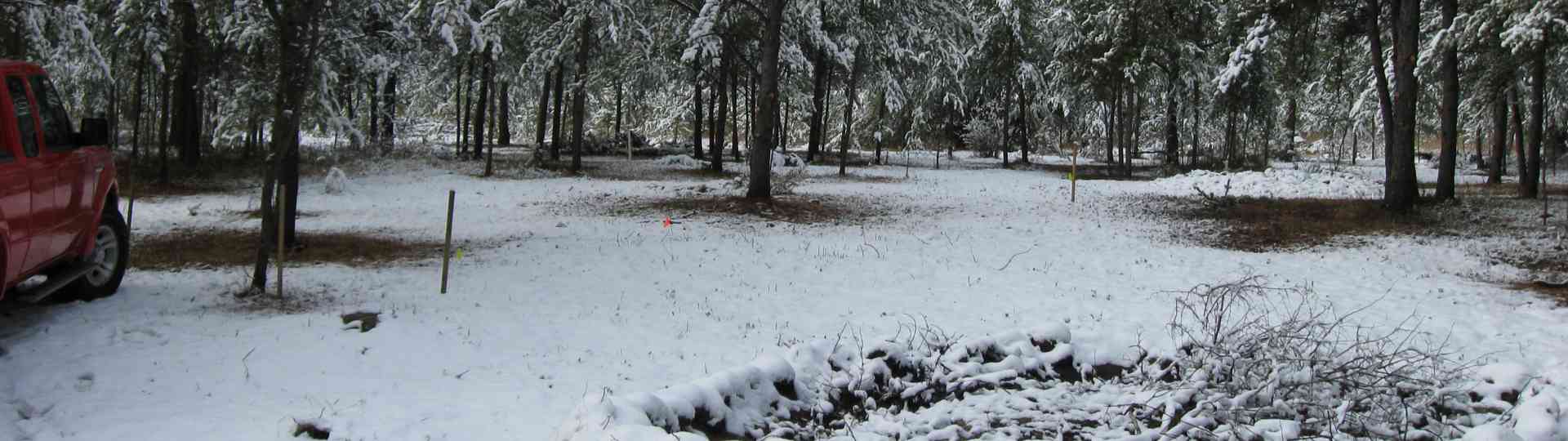 Late fall on the new land ... 2010