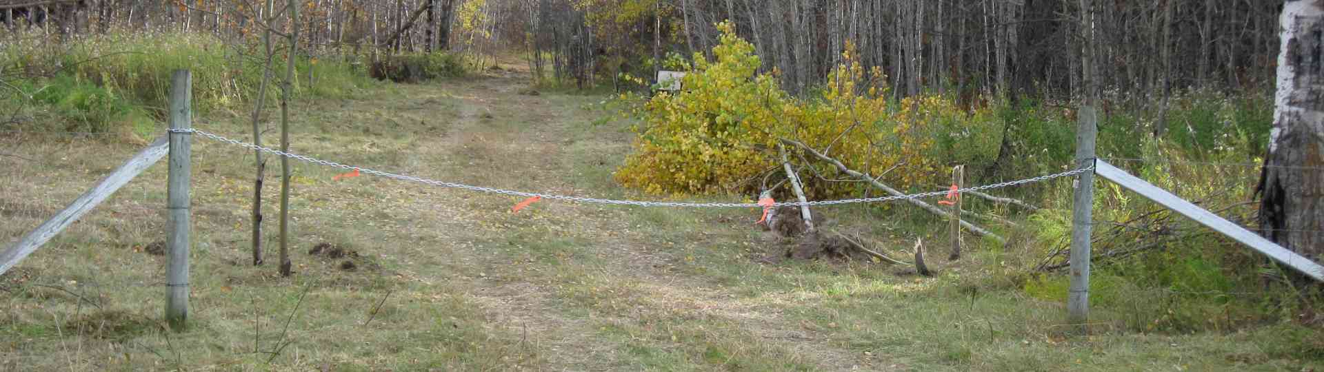 Work underway on the new land ... 2010