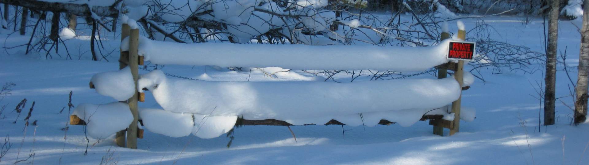 The new land under December snow ... 2010